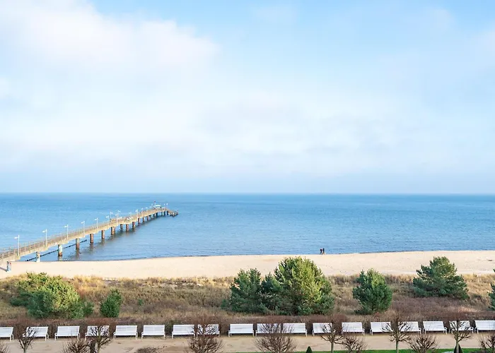 Dora App 12 아파트 *